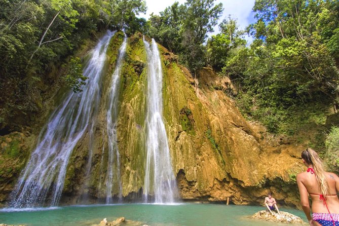 Full Day Samana Whales From Punta Cana With Waterfall, Bacardi Island & Lunch - Whale Watching