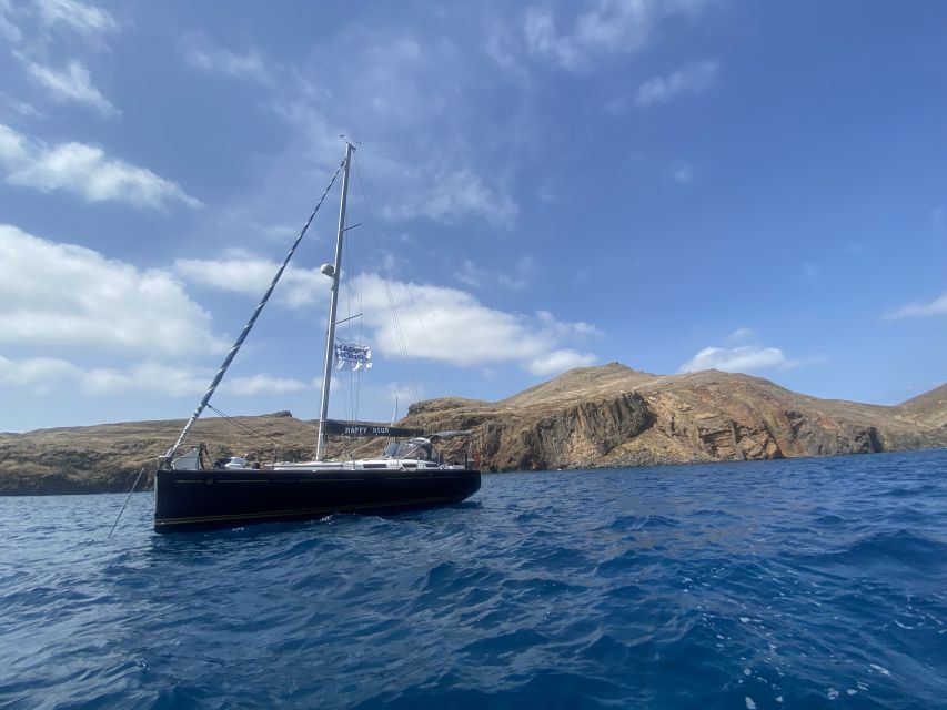 Funchal: Half and Full Day Private Sailboat Tour - Spotting Marine Life