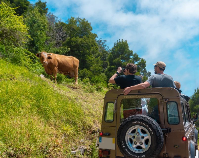 Funchal: Porto Moniz, Fanal Forest and Cabo Girao Jeep Tour - Seixal Black Sand Beach