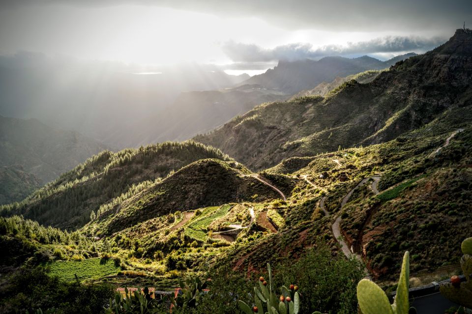 Gran Canaria: Highlights Tour, Hike in the Lauer Forest - Itinerary Highlights