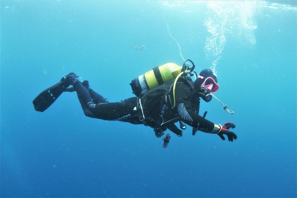 Gran Canaria: Morning Scuba Dive - Pricing and Inclusions