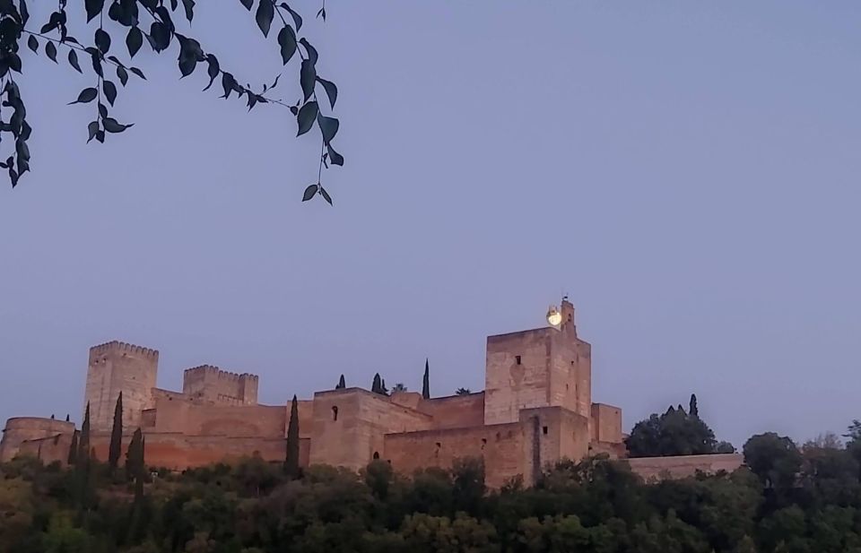 Granada: Private Customized Tour - Experience Highlights