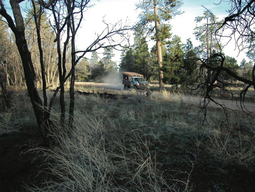 Grand Canyon: Off-Road Sunset Safari With Skip-The-Gate Tour - Spotting Local Wildlife