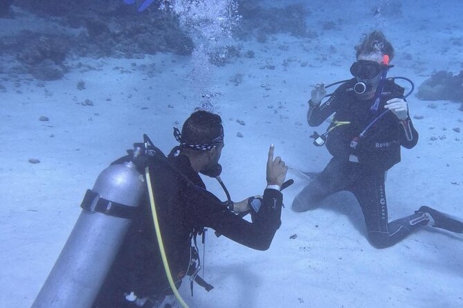 Guided Diving Experience for Padi OW in Red Sea and Sinai - Included in the Package