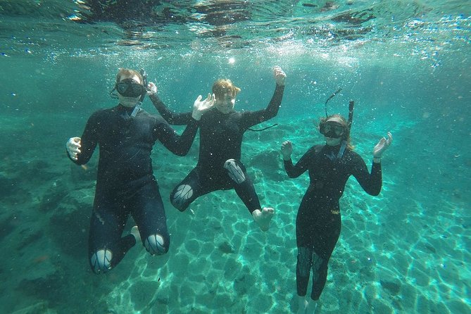 Guided Small Group Manatee Snorkeling Tour With In-Water Photographer - Activity Details