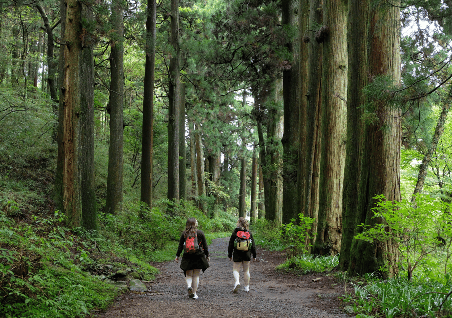 Hakone: Forest Bathing Hike Review - Frequently Asked Questions