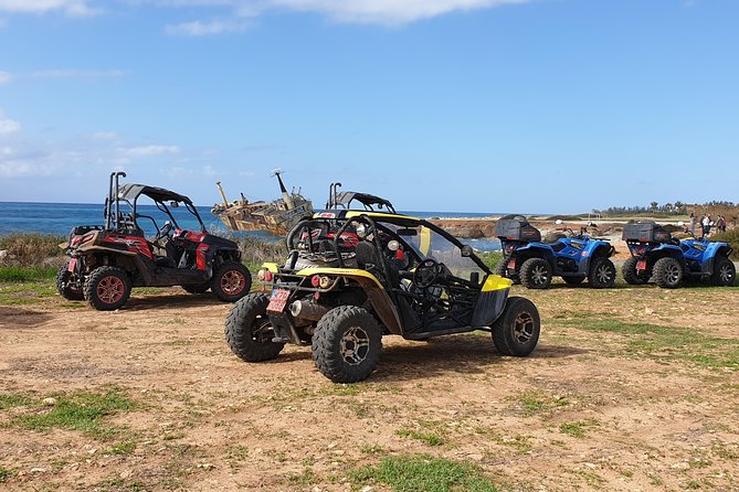 Half-Day Buggy Safari to Akamas Peninsula With Lunch - Highlights of the Buggy Safari