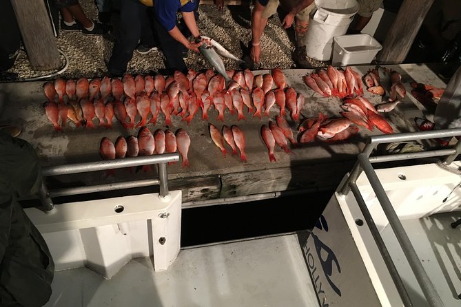 Half-Day Fishing Trip in Fort Lauderdale - Tour Options and Schedule