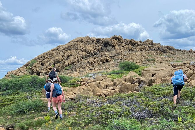 Half Day Hike Blow Me Down Mountain - Activity Details