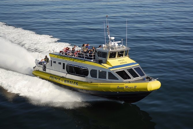 Half-Day Whale Watching Adventure From Telegraph Cove - Exclusions