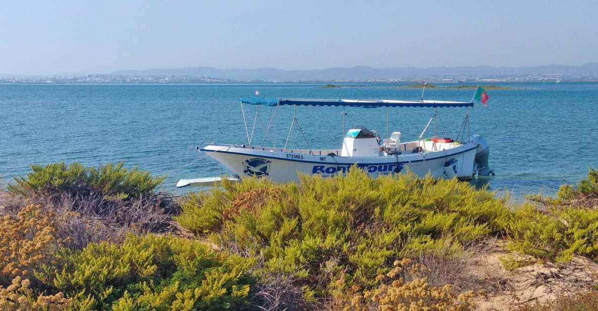 Hello: Private Boat Tour to Ria Formosa - Highlights of the Excursion