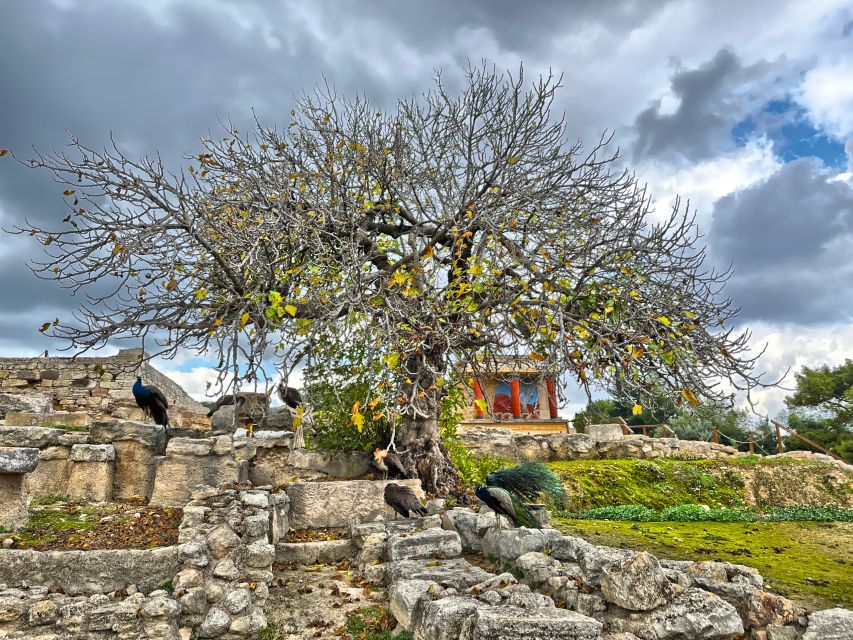 Heraklion: Archeological Museum of Heraklion Entrance & Tour - Historical Highlights