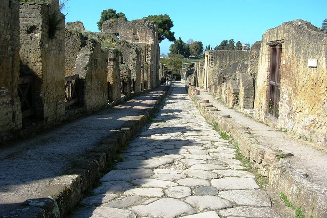 Herculaneum Group Tour From Naples - Tour Duration and Accessibility