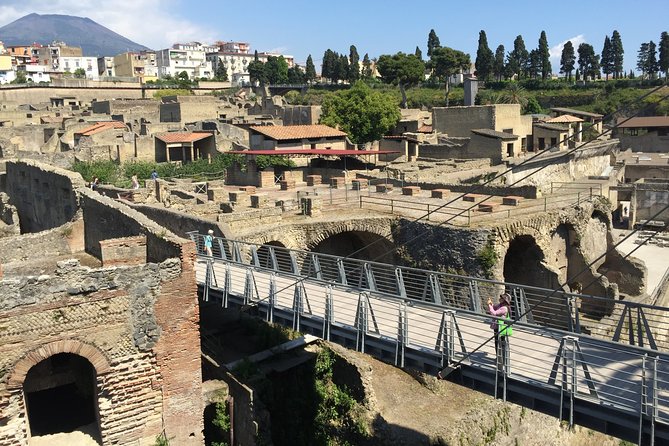 Herculaneum Private Walking Guided Tour 2 Hours - Meeting Point and Duration