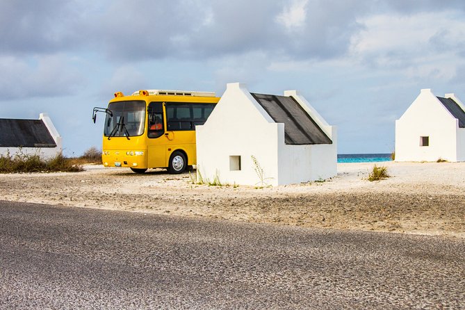 Highlights of Bonaire & Cultural Experience - 1000 Steps Dive Site