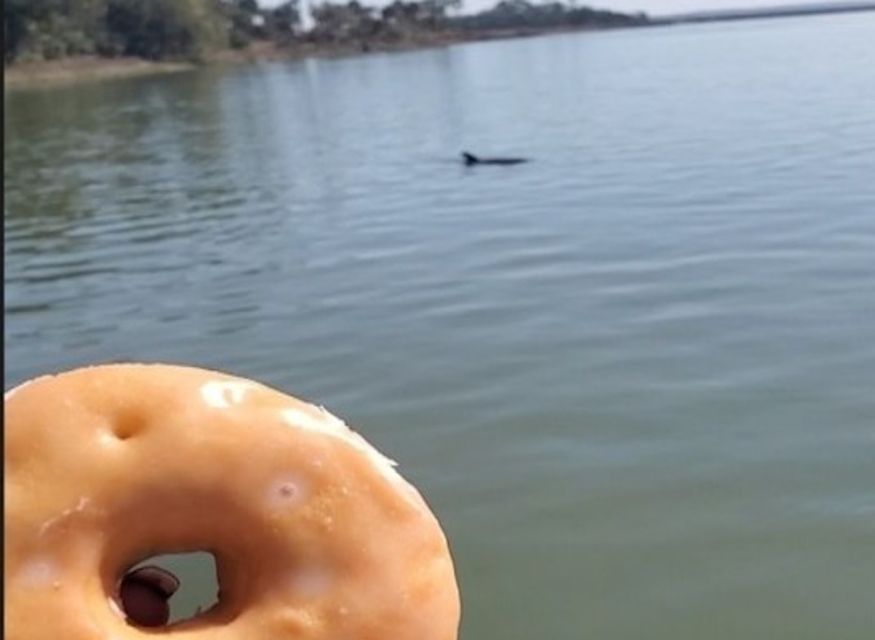 Hilton Head Island: Dolphin Watching Cruise With Donuts - Experience Highlights