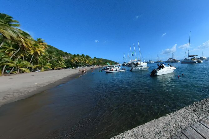 Historical and Panoramic Tour Along Caribbean Coast and in Tropical Forest - Inclusions