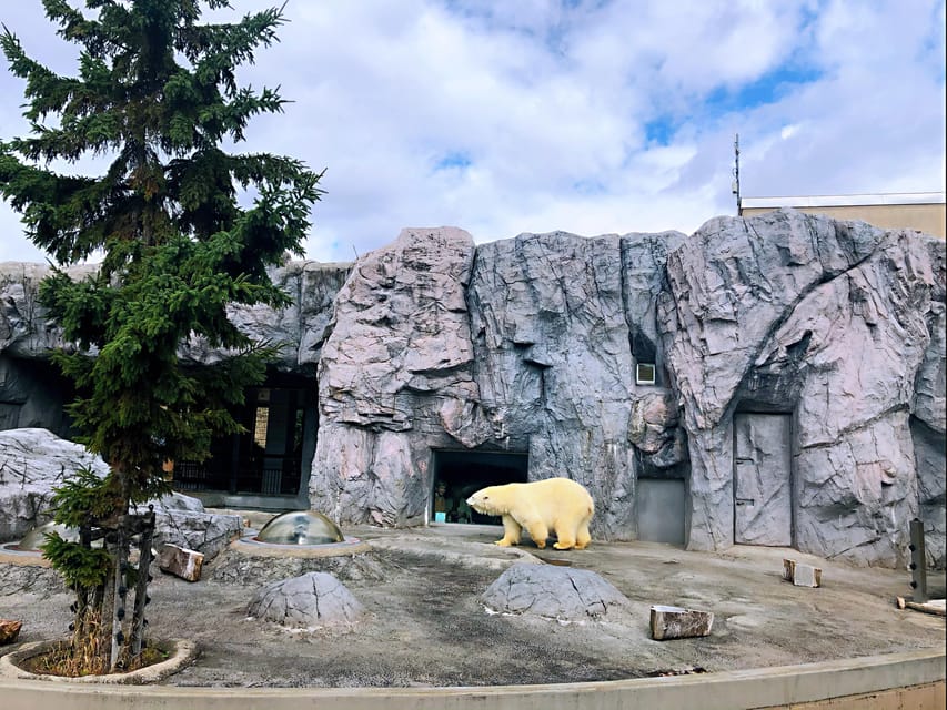 Hokkaido Asahiyama Zoo Tour Review - Itinerary Highlights