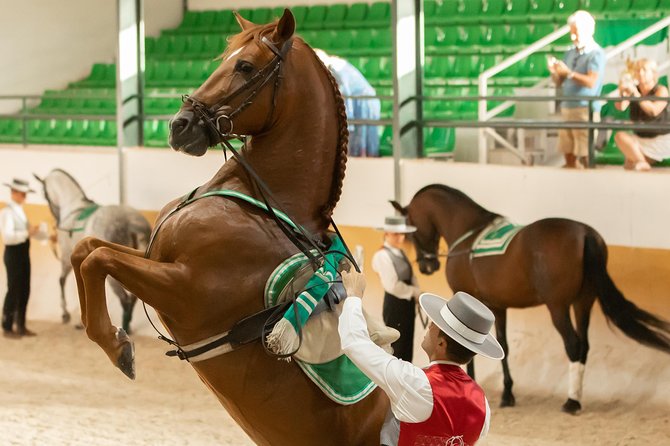 Horse and Flamenco Show in Malaga - Included Amenities and Services