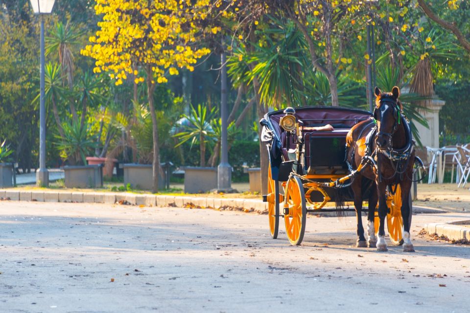 Horse-Drawn Carriage Ride Through Seville - Pricing Details