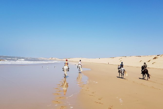 Horse Ride on the Beach in Essaouira - Inclusions and Exclusions