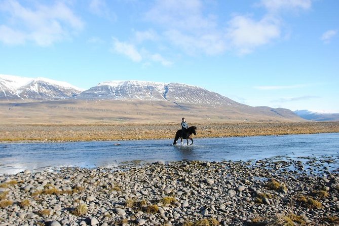 Horse Riding Tour to the Glacier River Delta With Waterfall - Experience Details