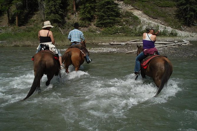 Horseback Riding Experience in Marmaris - Included in the Tour