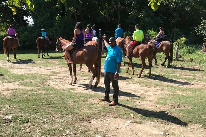 Horseback Riding in the Ocean & Bamboo Rafting From Ocho Rios - Bamboo Rafting on the White River