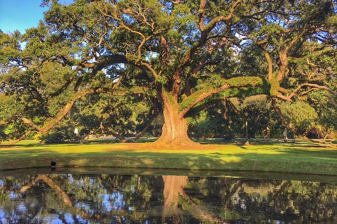 Houmas House Plantation Guided Tour - Tour Highlights