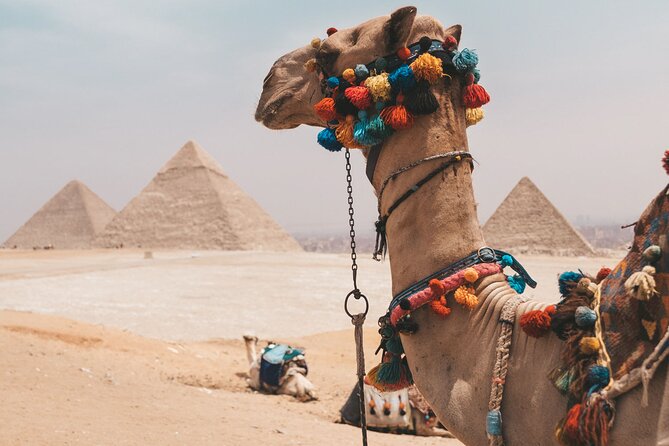 Hurghada: Cairo and Giza Highlights by Mini Van With BBQ Lunch - Meeting and Pickup Details