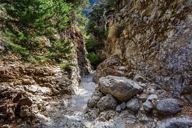 Imbros Gorge - War Museum Askifou - Iligas Beach Private Tour - Inclusions