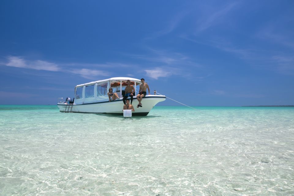 Ishigaki Island: Boat Snorkeling Tour at Phantom Island - Experience Highlights