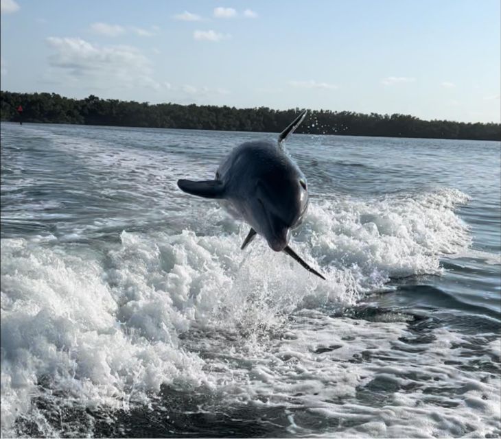 Islamorada: Multi-Activity Private Boat Charter - Included Amenities