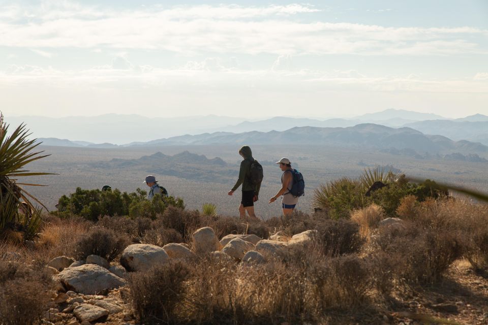 Joshua Tree National Park: Tour and Hike - Geological Wonders to Explore