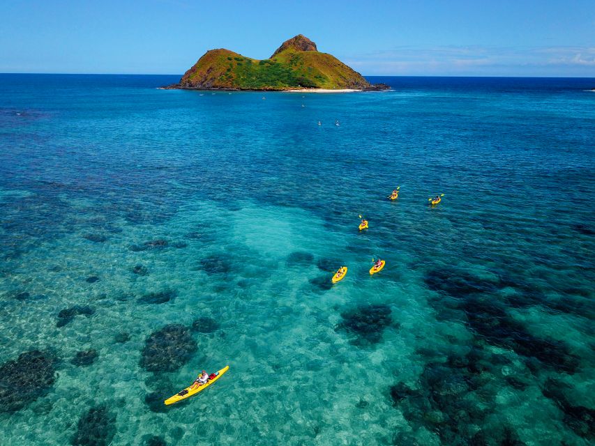 Kailua: Guided Kayaking Tour With Lunch, Snacks, and Drinks - Eco-Friendly Experience