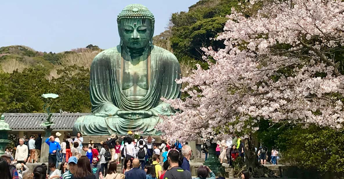 Kamakura & Yokohama: Highlight Tour in Spanish - Tour Highlights