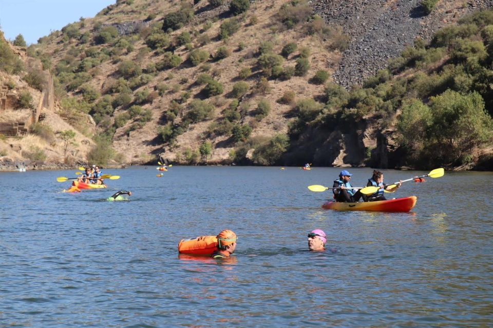 Kayak Tour on the Côa River - Pricing and Reservation Details