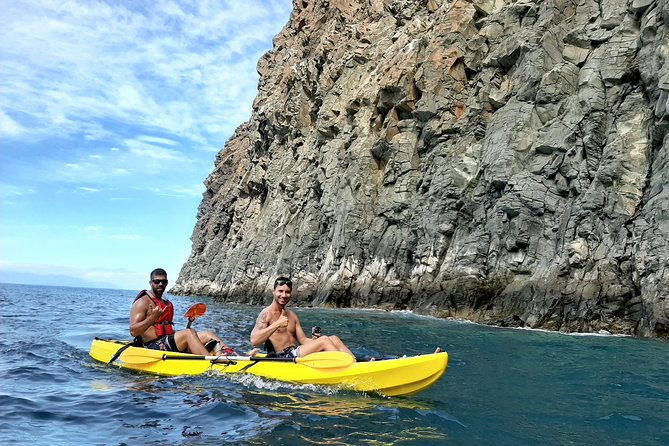 Kayak With Dolphin & Turtle Watching Private Tour - Fitness and Health