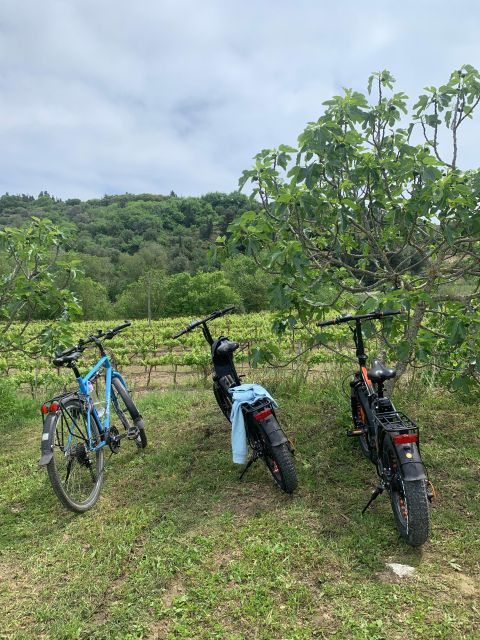 Kefalonia Wine Tour on E-Bikes - Experience Highlights