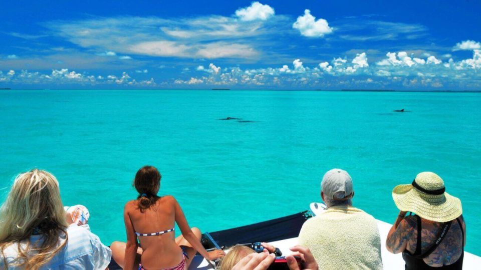 Key West: Dolphin Watching and Snorkeling Eco Cruise Tour - Highlights of the Experience