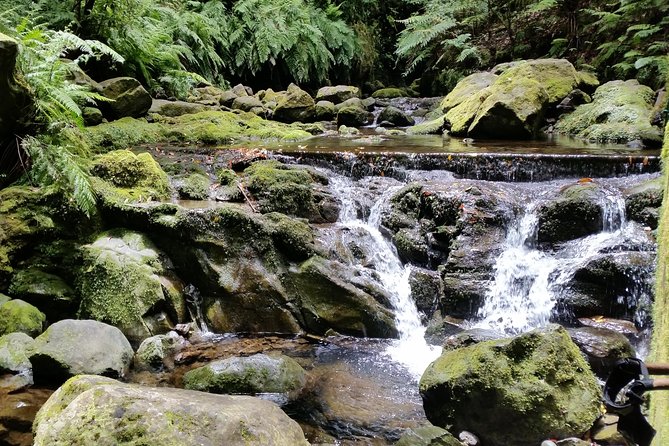 Kings Levada - São Jorge - Tour Details