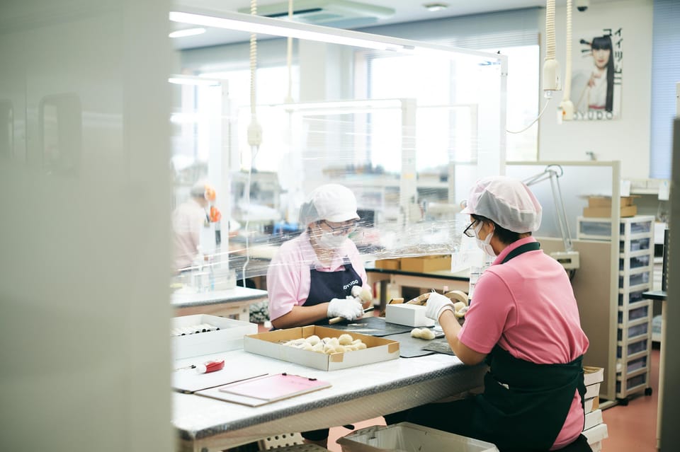 Kumano Brush Factory Tour and Brush-Making Experience - Experience Highlights