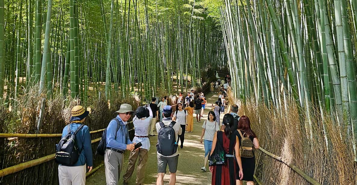 Kyoto: Arashiyama Bamboo Grove 3-Hour Guided Tour - Experience Highlights