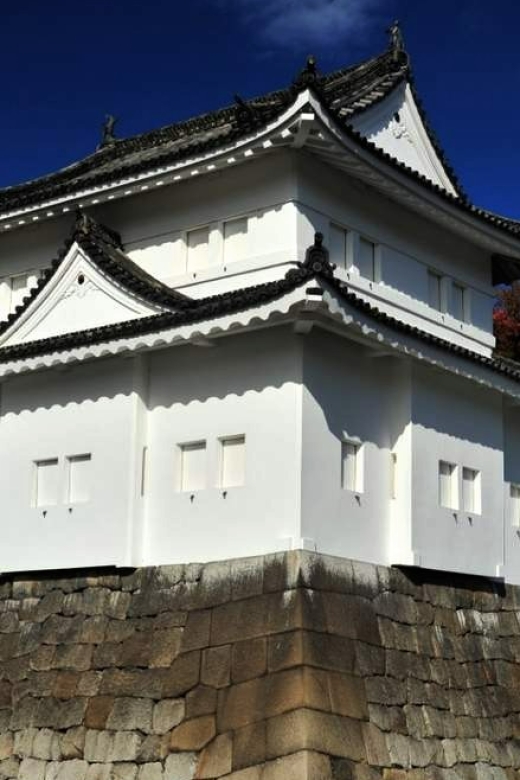 Kyoto: Nijo Castle and Ninomaru Palace Ticket - Experience Highlights