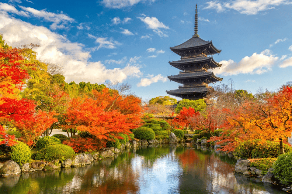 Kyoto Private Group Tour With Maximum Attractions - Personalization and Itinerary Options