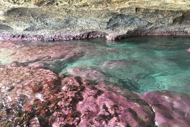 Lagoon Cave and Secluded Beaches Tour in Puerto Rico - Discovering Vega Baja Beach