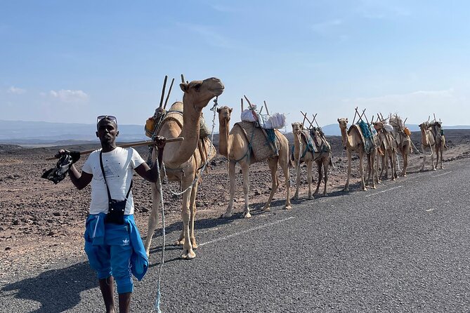 Lake Assal Day Trip From Djibouti - Lunch Experience