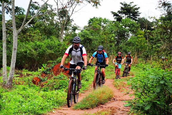 Lake Victoria Island Cycling Tour From Kampala - Inclusions