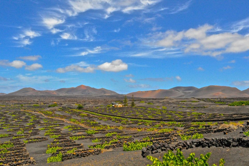 Lanzarote: Volcanos of Timanfaya and Caves Tour With Lunch - Itinerary Highlights