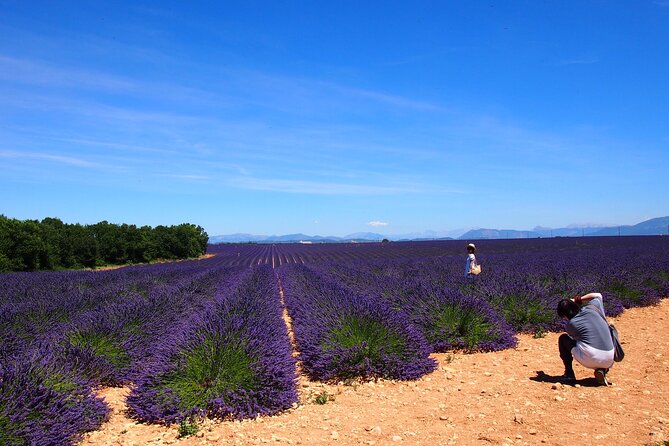 Lavender Fields Tour in Valensole From Marseille - Photographic Opportunities in the Lavender Fields